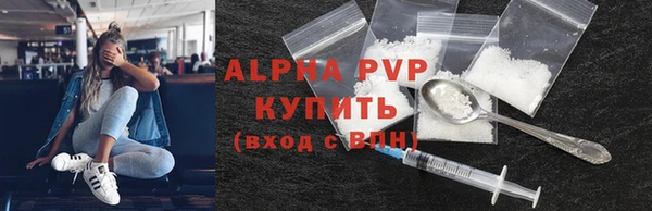 скорость Каменка