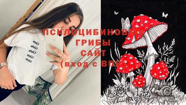 скорость Каменка
