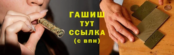 скорость Каменка