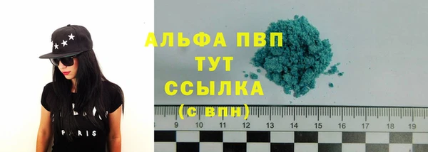 a pvp Каменногорск