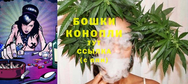 скорость Каменка