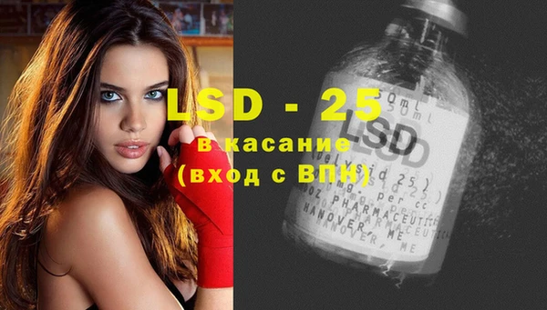 скорость Каменка