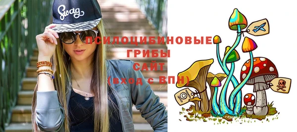 a pvp Каменногорск