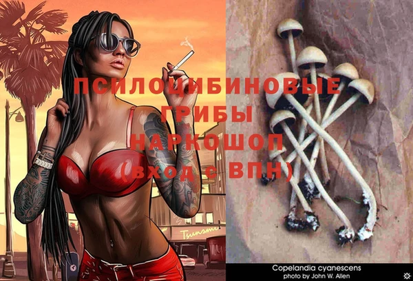 скорость Каменка