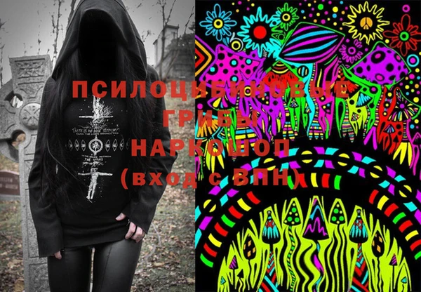 скорость Каменка