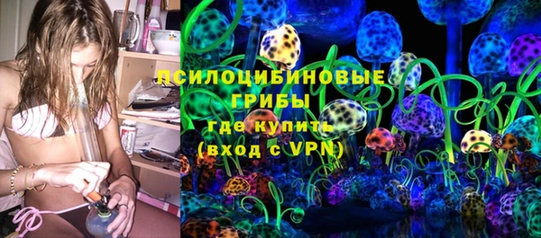a pvp Каменногорск